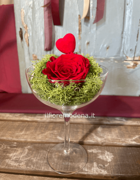 Rosa stabilizzata